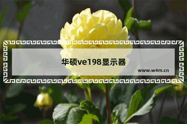 华硕ve198显示器