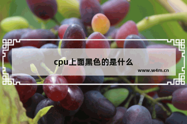 cpu上面黑色的是什么