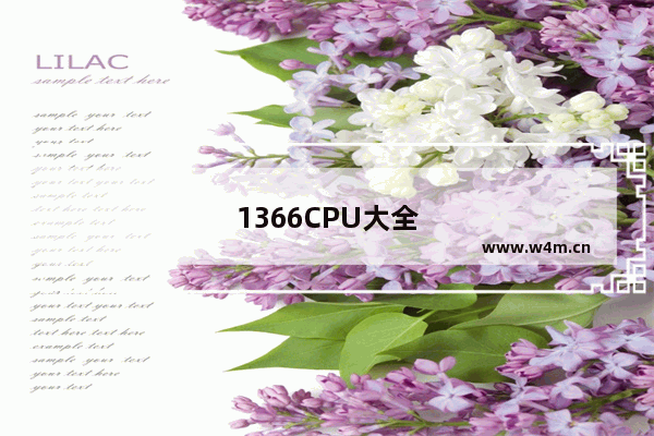 1366CPU大全