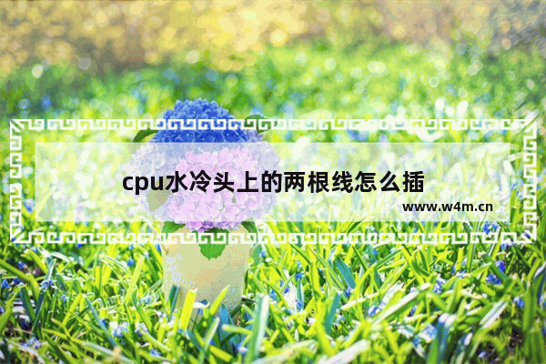 cpu水冷头上的两根线怎么插