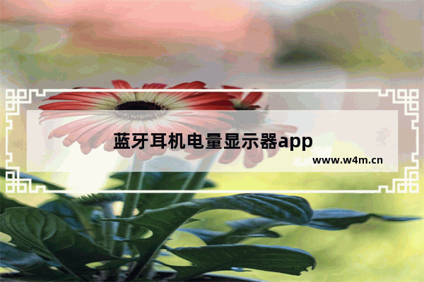 蓝牙耳机电量显示器app