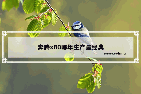 奔腾x80哪年生产最经典