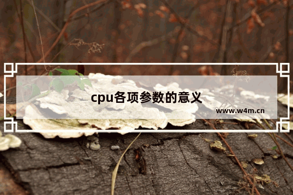 cpu各项参数的意义