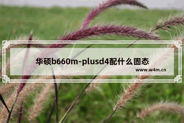 华硕b660m-plusd4配什么固态