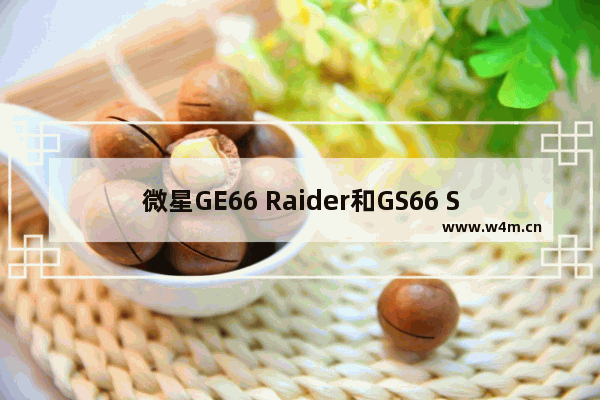 微星GE66 Raider和GS66 Stealth游戏笔记本配置如何