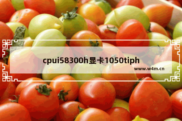 cpui58300h显卡1050tiphysx选显卡还是cpu