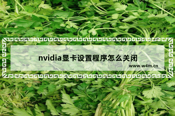 nvidia显卡设置程序怎么关闭