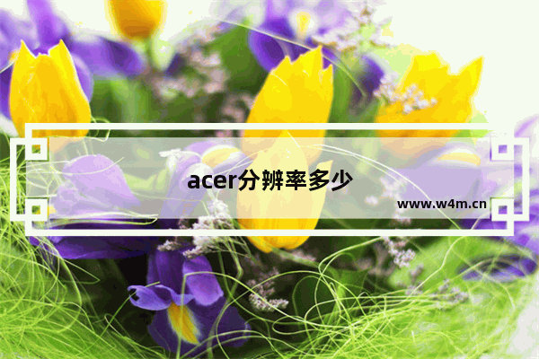 acer分辨率多少