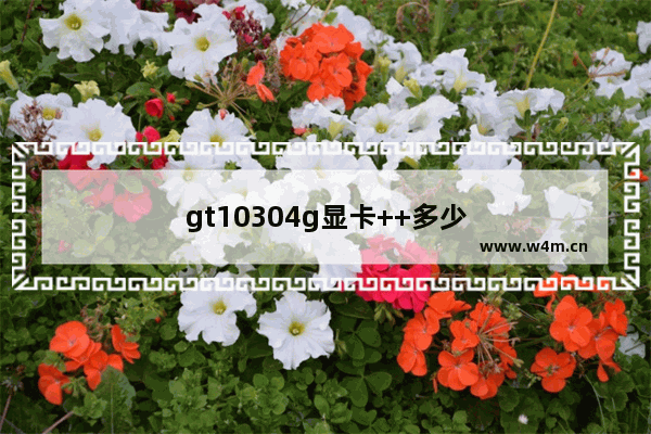 gt10304g显卡++多少