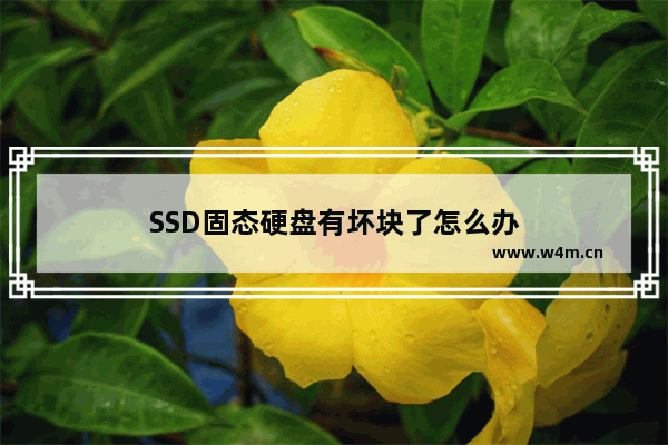 SSD固态硬盘有坏块了怎么办