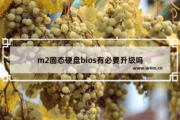 m2固态硬盘bios有必要升级吗