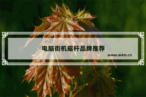 电脑街机摇杆品牌推荐