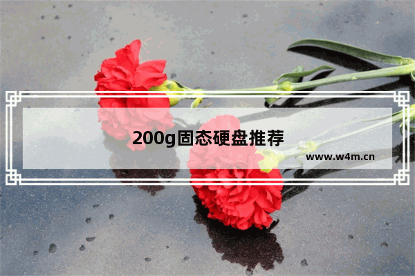 200g固态硬盘推荐