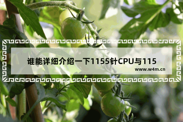 谁能详细介绍一下1155针CPU与1156针CPU的区别