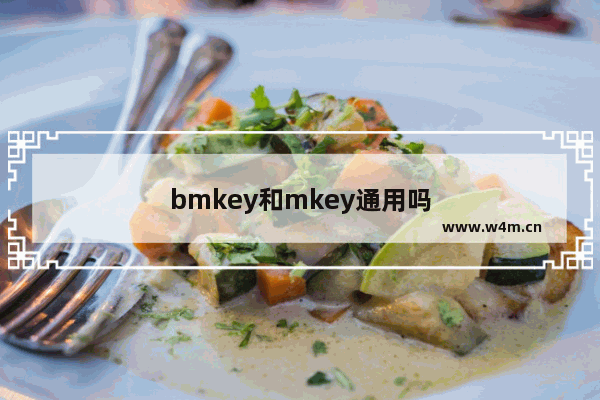 bmkey和mkey通用吗