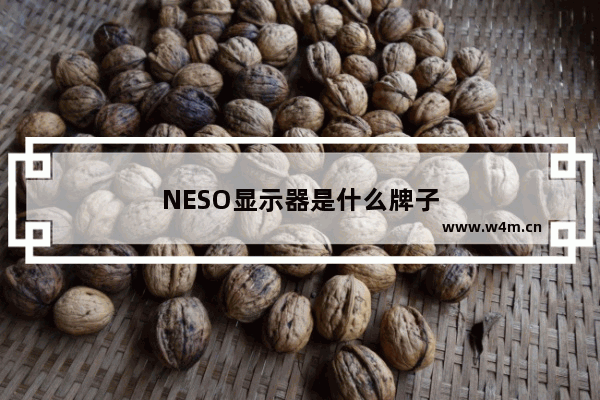 NESO显示器是什么牌子