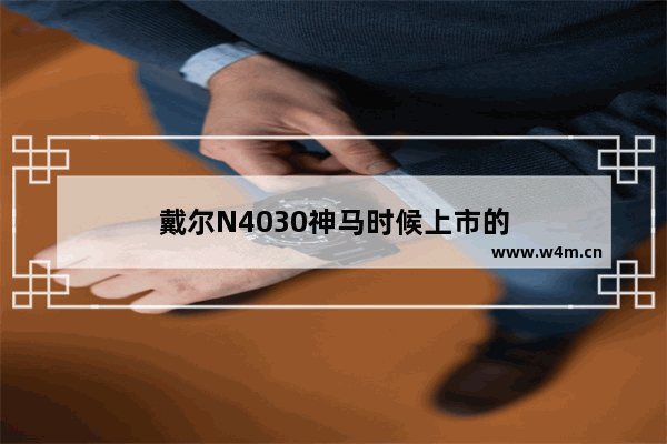 戴尔N4030神马时候上市的