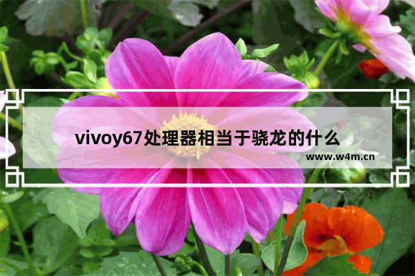 vivoy67处理器相当于骁龙的什么