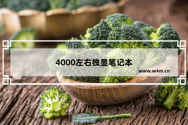 4000左右独显笔记本