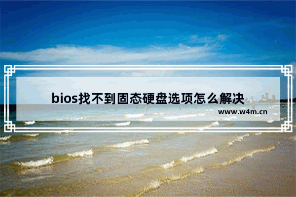 bios找不到固态硬盘选项怎么解决