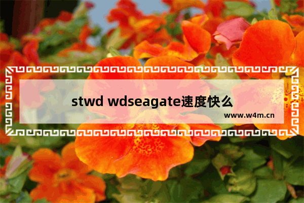 stwd wdseagate速度快么