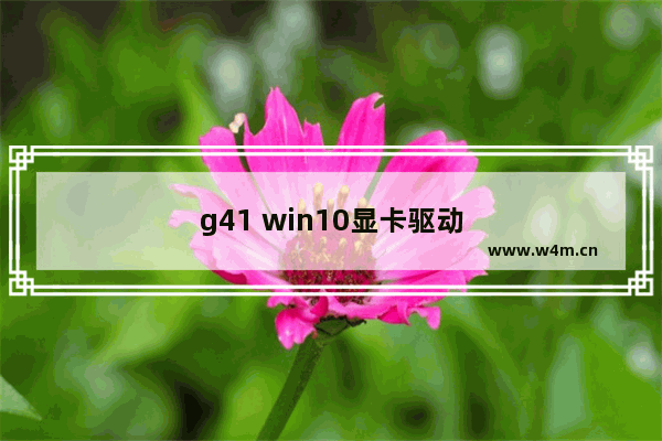 g41 win10显卡驱动