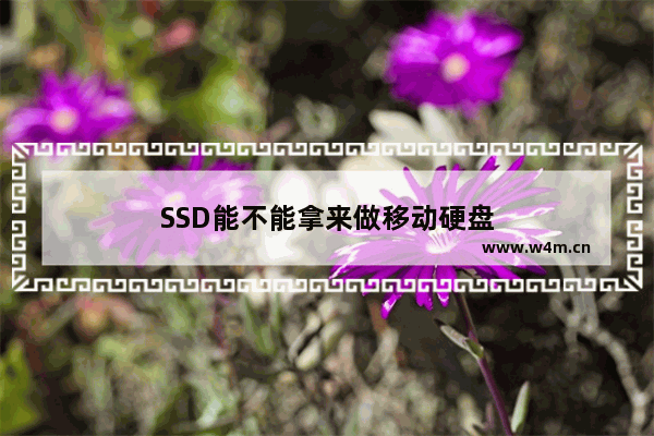 SSD能不能拿来做移动硬盘