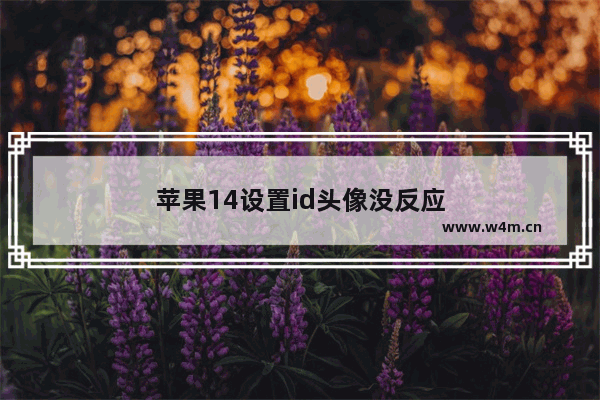 苹果14设置id头像没反应