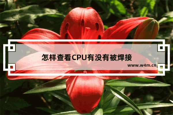 怎样查看CPU有没有被焊接