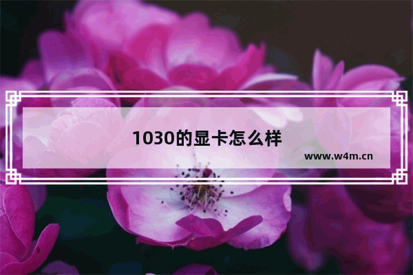 1030的显卡怎么样