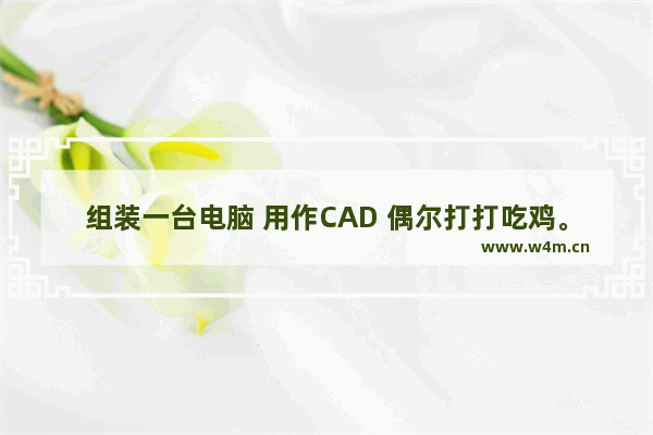 组装一台电脑 用作CAD 偶尔打打吃鸡。懂得给说说什么配置和价钱 预算2-3千