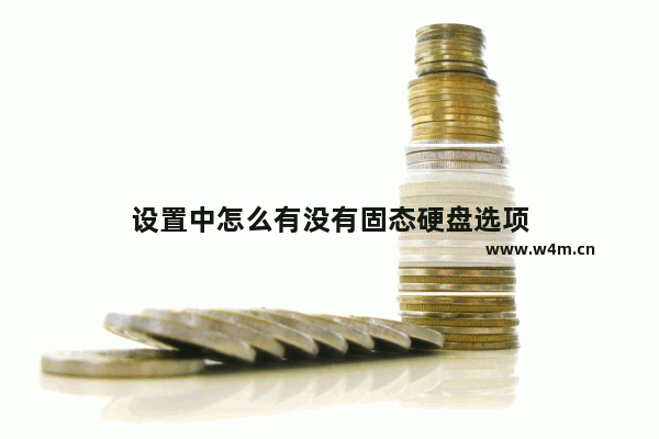 设置中怎么有没有固态硬盘选项