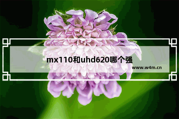 mx110和uhd620哪个强