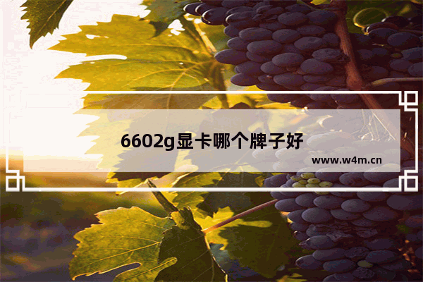 6602g显卡哪个牌子好