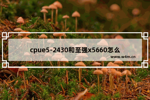 cpue5-2430和至强x5660怎么样