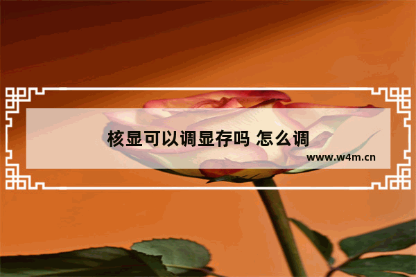 核显可以调显存吗 怎么调