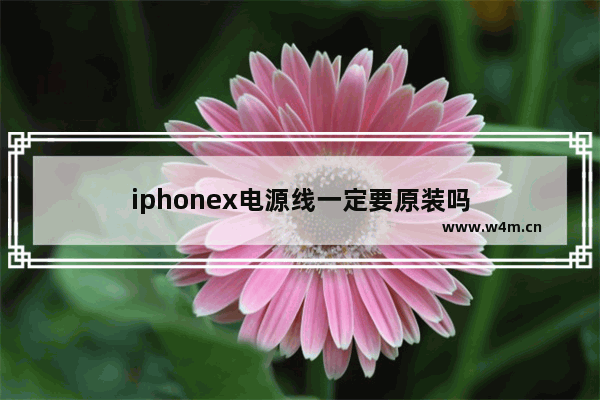 iphonex电源线一定要原装吗