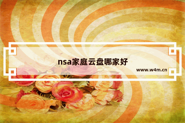 nsa家庭云盘哪家好