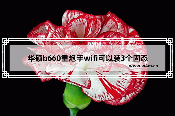 华硕b660重炮手wifi可以装3个固态吗