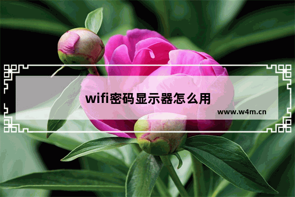 wifi密码显示器怎么用