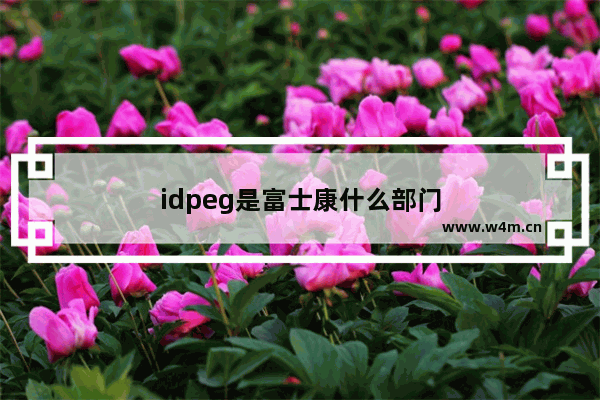 idpeg是富士康什么部门