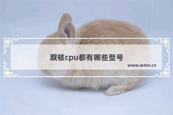 双核cpu都有哪些型号