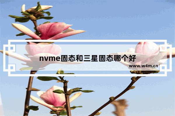 nvme固态和三星固态哪个好