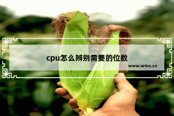 cpu怎么辨别需要的位数