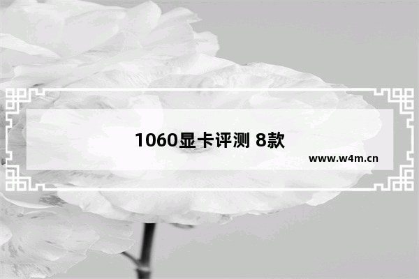 1060显卡评测 8款