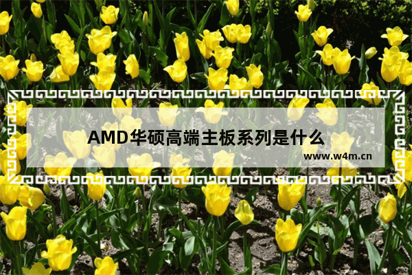 AMD华硕高端主板系列是什么