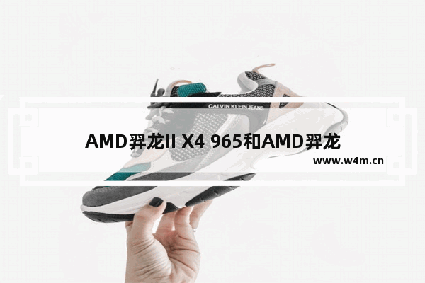 AMD羿龙II X4 965和AMD羿龙II X6 1100T差距