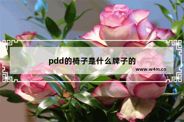 pdd的椅子是什么牌子的