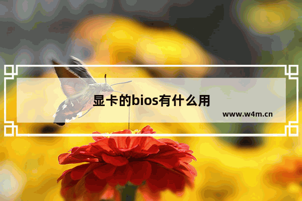 显卡的bios有什么用