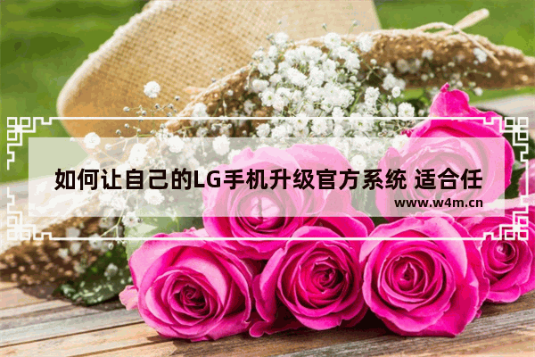 如何让自己的LG手机升级官方系统 适合任何LG手机